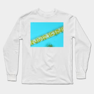 Melosira diatoms under the microscope Long Sleeve T-Shirt